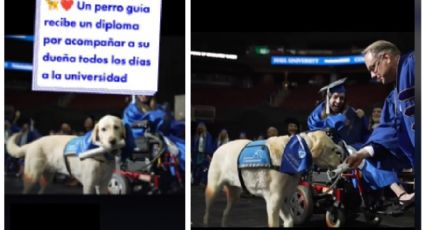 Perro guía se graduó junto a su dueña; la acompañó 'todos' los días