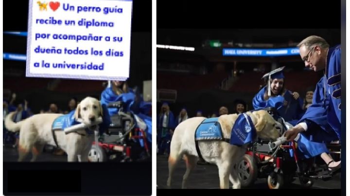 Perro guía se graduó junto a su dueña; la acompañó 'todos' los días