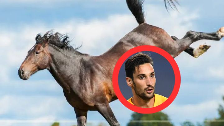 Portero de futbol sufre fuerte patada de un caballo; se encuentra grave en el hospital