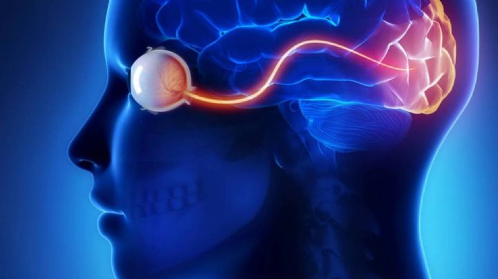 Neuralink, empresa de Musk, tiene permiso de poner implantes cerebrales en humanos