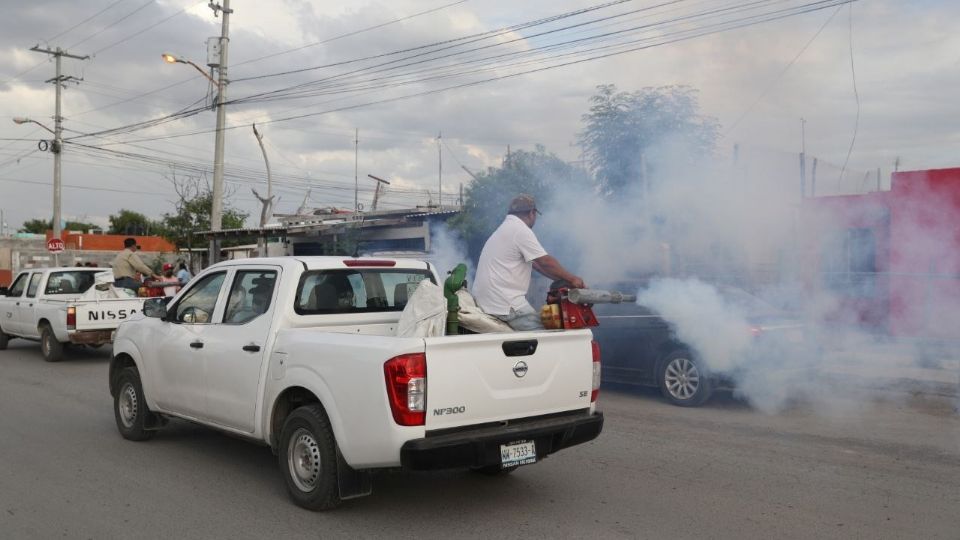 Esta semana se fumigará en varias colonias de NLD.