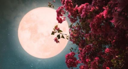 Luna de las Flores: ¿cuándo y dónde ver la noche pintada de rojo?