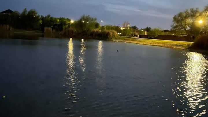 Más de 20 pandilleros protagonizan pelea en Laredo, Texas; reportaron balazos