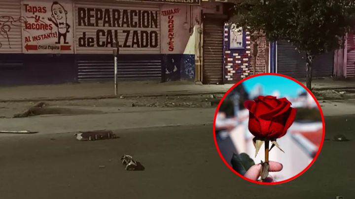 Muere vendedor de rosas; lo atropellan en avenida Colón de Monterrey