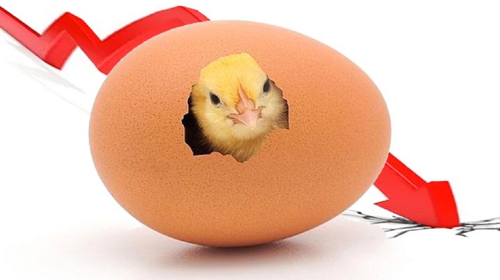 Se desploma el precio del huevo: en 70 años nunca había estado tan barato
