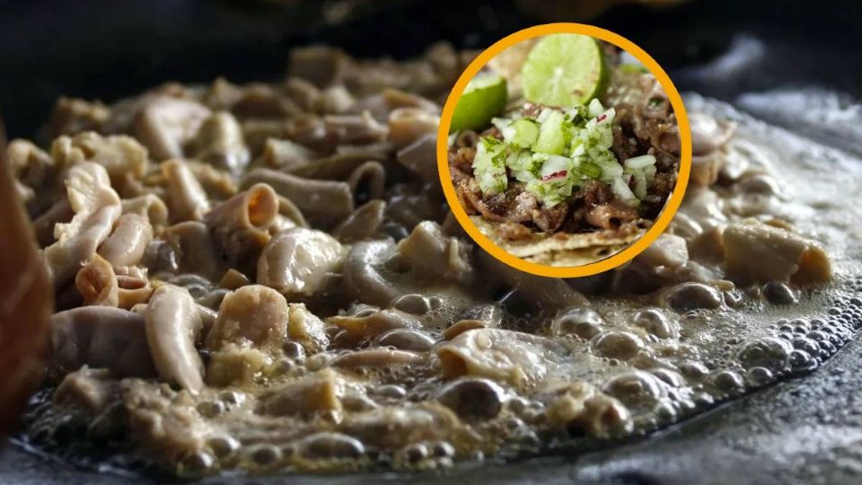 Los beneficios de comer tacos de tripita