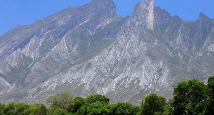 Perro halla cadáver calcinado; le faltaba una pierna