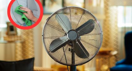 Por este motivo debes limpiar constantemente tu ventilador de pedestal | VIDEO