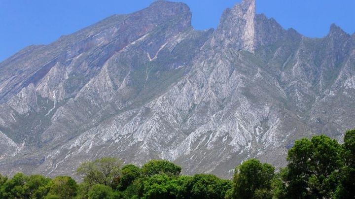 Perro halla cadáver calcinado; le faltaba una pierna