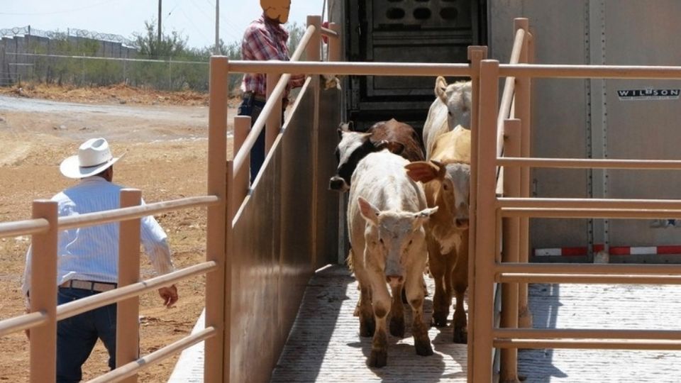 Roberto Adams, laredense e Inspector del Departamento de Agricultura de Estados Unidos fue sentenciado este jueves a 4 años y 9 meses de prisión