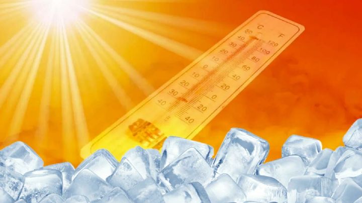 ¿Desabasto de hielo?, aquí 3 trucos para congelar más rápido