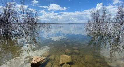 Este lago de Texas es el mejor de EU para la pesca de lubina, según expertos