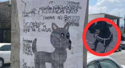 Niño busca a su perrito ‘Cheis’ con dibujo hecho a mano: 'es bravo y muerde, pequeño'