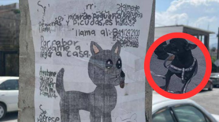 Niño busca a su perrito ‘Cheis’ con dibujo hecho a mano: 'es bravo y muerde, pequeño'