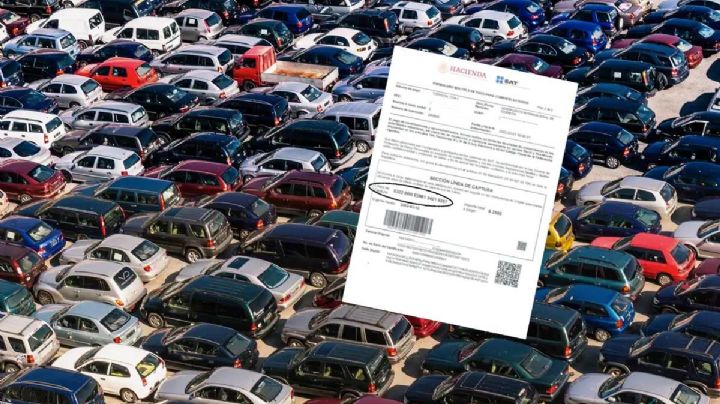 Autos chocolate: así se llena la línea de captura del SAT para pagar los 2 mil 500 pesos