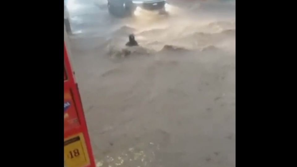 Niña es arrastrada por la corriente tras la lluvia.