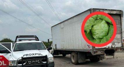 Tira 500 kilos de lechuga en lote baldío; lo detienen y sancionan con jugosa multa