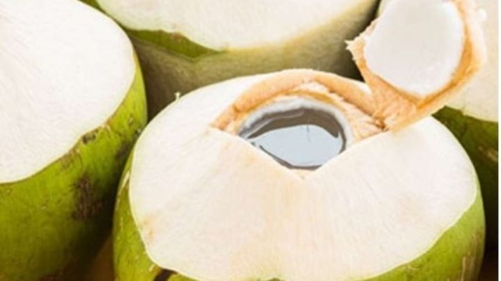 Conoce todos los beneficios de tomar agua de coco; te sorprenderás