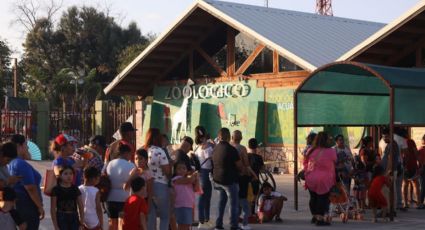 Zoológico de Nuevo Laredo modifica horarios por vacaciones de verano