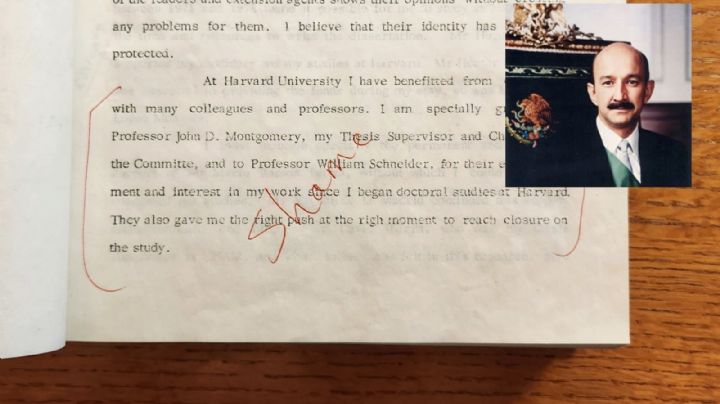 Tesis de Salinas de Gortari en Harvard fue vandalizada; esto escribieron en sus páginas