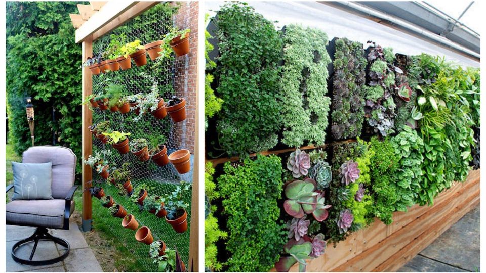 Los jardines verticales son ideales para espacios pequeños, son hermosos y purifican en ambiente.