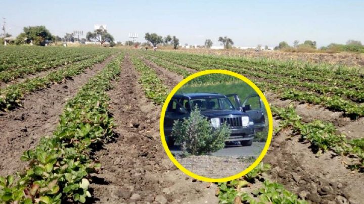 Acribillan a 5 personas en Guanajuato; muere un menor de edad