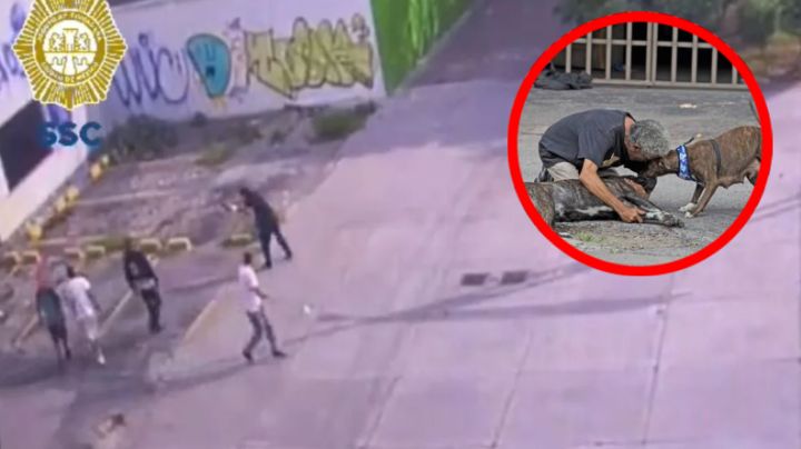 Perrito Zeus defendió a su dueño de un asalto; regresaron a matarlo a balazos | VIDEO
