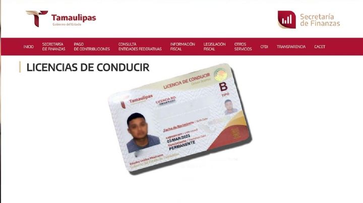 Licencia permanente Tamaulipas, así la obtienes en minutos