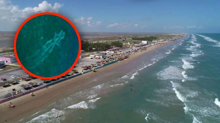 Inundan monstruos marinos playas de Tamaulipas: captan a segundo ser extraño