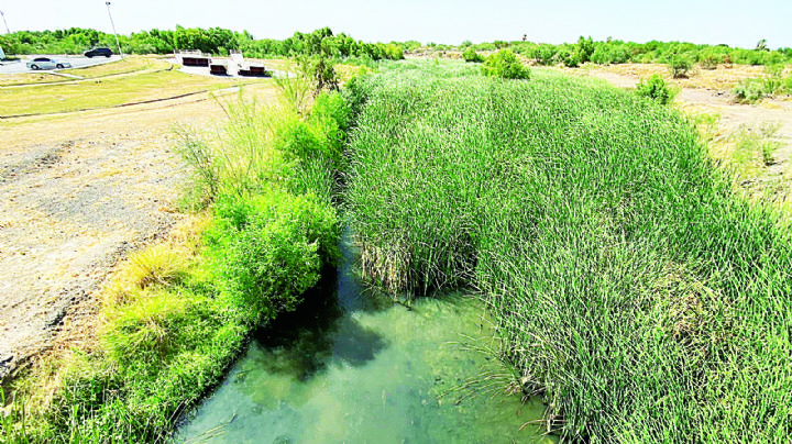 Temen en Los Fresnos una nueva inundación; demandan limpiar El Coyote