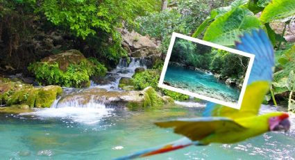 Manantial 'Los Nogales', un paraíso que visitar en Tamaulipas | FOTOS