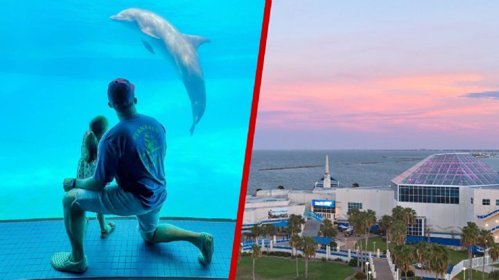 Este lugar en Texas tiene el parque acuático ideal para el verano