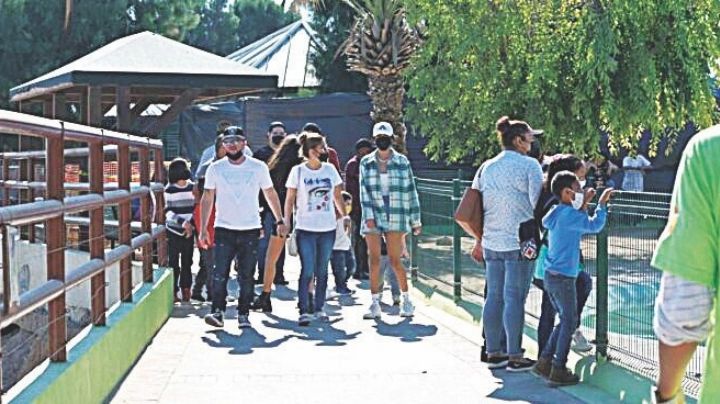 Zoológico y Acuario de Nuevo Laredo reporta alza en visitas; ¿cuál día la entrada es gratis?