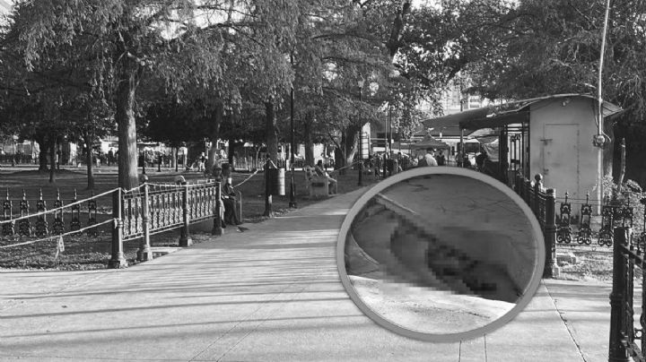 Encuentran cadáver de un hombre en la Alameda de Monterrey