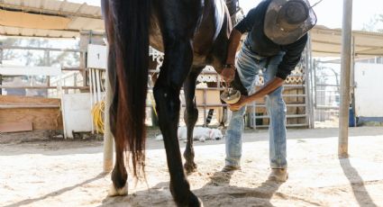 Muere hombre en hospital de Nuevo Laredo tras caerle encima un caballo