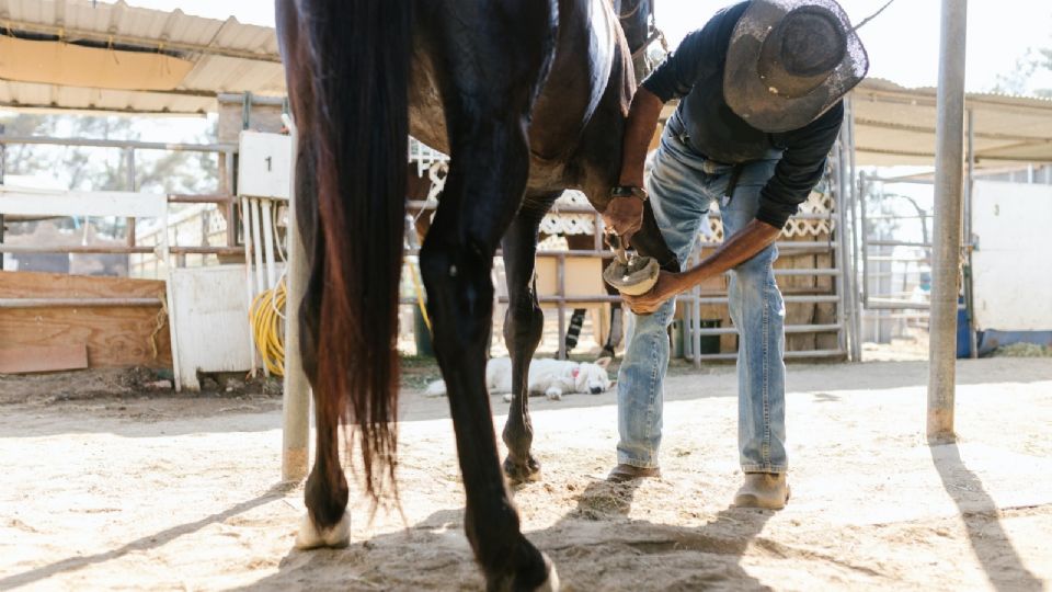 El hombre de la tercera edad sufrió una hemorragia interna