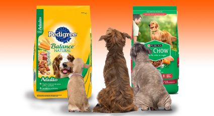 Pedigree vs. Dog Chow: estas son las mejores croquetas, según la Profeco