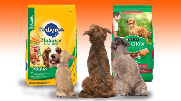 Pedigree vs. Dog Chow: estas son las mejores croquetas, según la Profeco