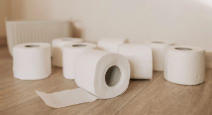 Este es el papel de baño bueno y barato, según Profeco