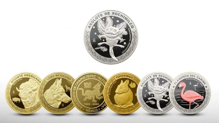 Sale nueva moneda del ajolote conmemorativa y así la puedes obtener