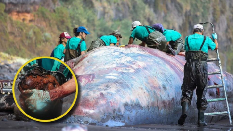 Esta piedra tiene un valor incalculable por ser muy rara en la naturaleza pero, ¿qué es y para qué sirve?