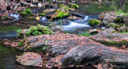 Honey Creek: un área natural de Texas donde vivían tribus nativas