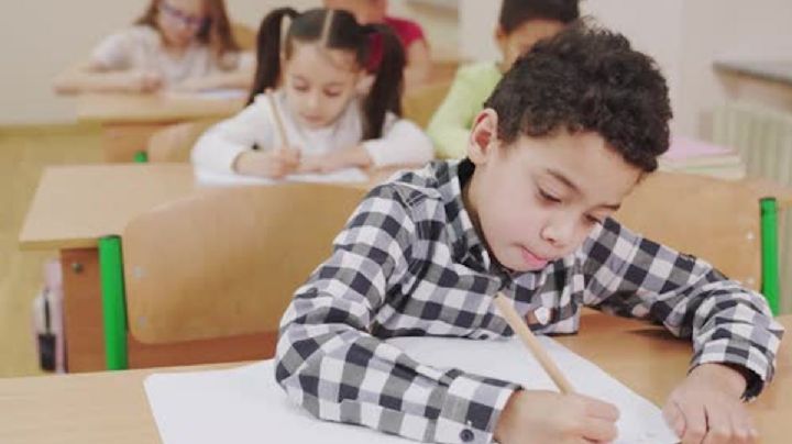 Profeco: estos son los mejores cuadernos del mercado para este regreso a clases