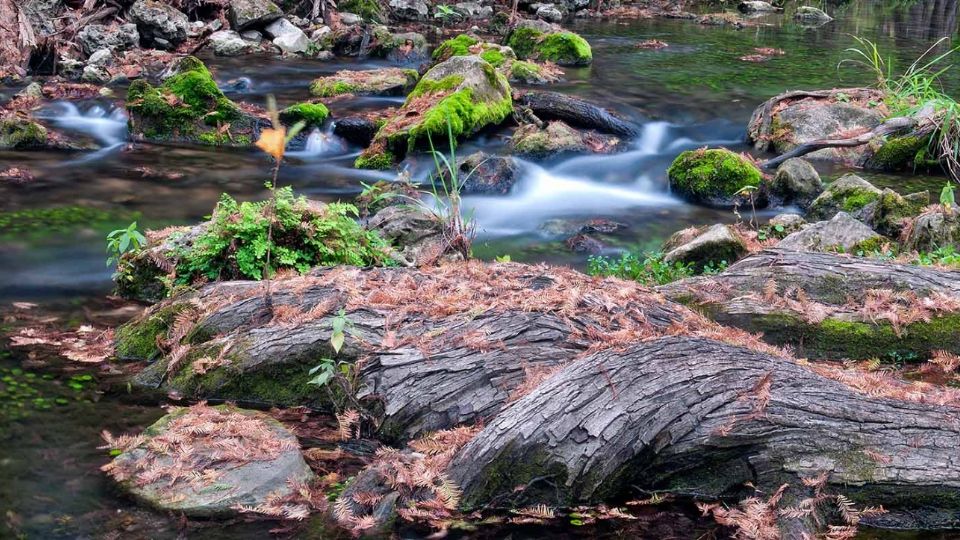 Honey Creek State Natural Area en Texas