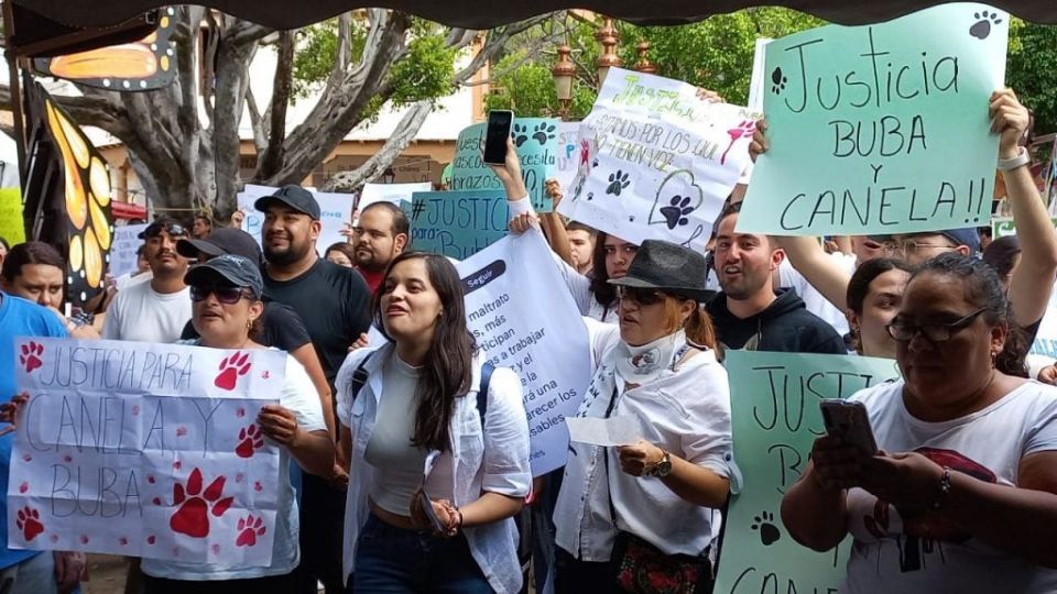 Manifestantes exigen justicia por Buda y Canela