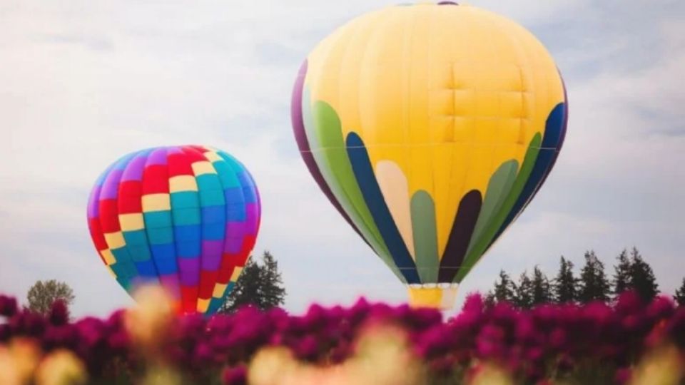 Espectáculo de globos aerostáticos