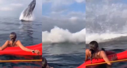 Ballena emerge del agua, asustando a una joven que disfrutaba del mar | VIDEO