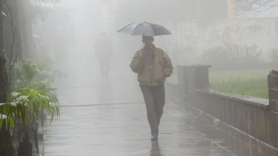 La lluvia trajo un respiro al campo, luego de largos meses de sequiía.