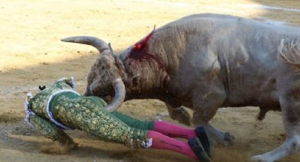 Torero recibe cornada y vuela varios metros; vuelve a ser embestido dos veces | VIDEO