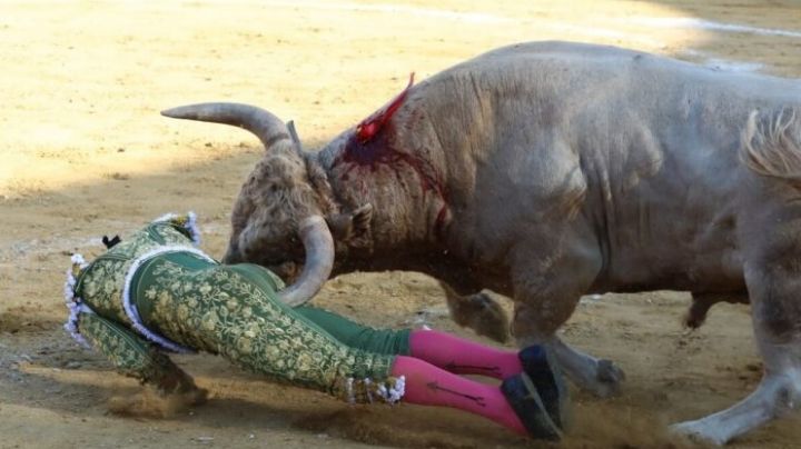 Torero recibe cornada y vuela varios metros; vuelve a ser embestido dos veces | VIDEO